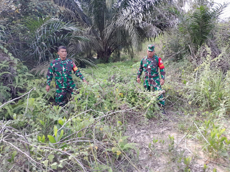 Cegah Karhutla, Babinsa Mandau Pelda Yulihar, Serka Fauzi dan Serda D. Simanjuntak Laksaksanakan Patroli di Desa Petani
