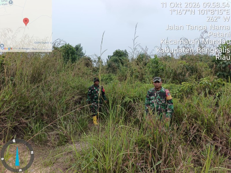 Patroli Karhutla Terus dilakukan, Babinsa Peltu Sigit N.W, Sertu Awaludin cek Lahan Rawan di Kelurahan Pematang Pudu, Mandau, Bengkalis