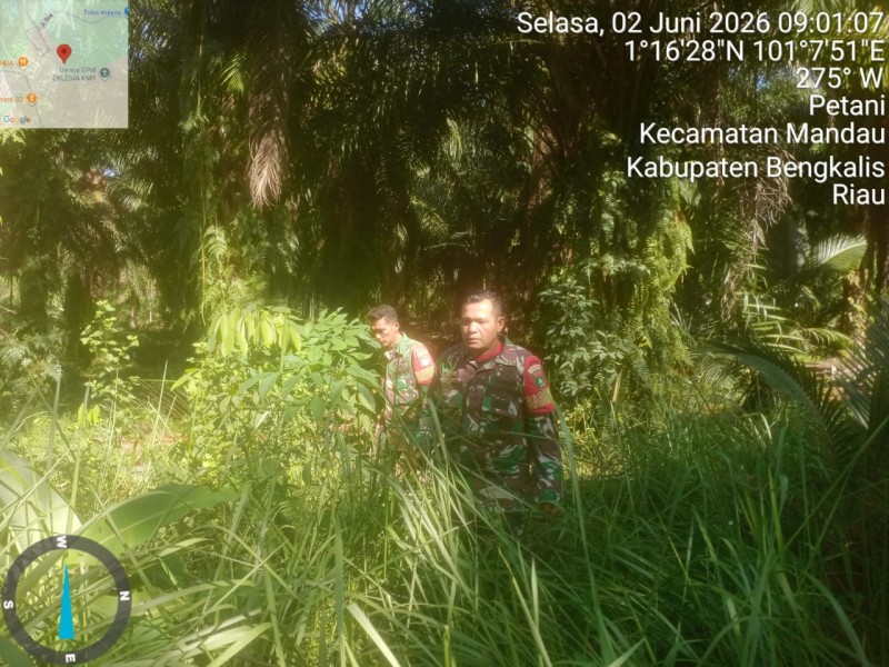 Babinsa Sertu Sutiman, Serda Z.Panjaitan Patroli Karhutla di KM 6 Jalan Rangau, Mandau