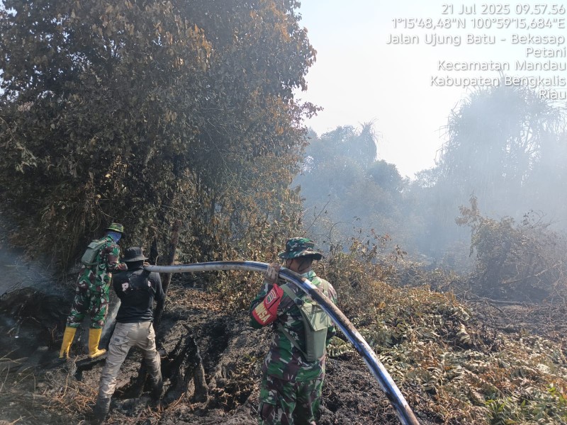 Upayakan Pemadaman dan Pendinginan, Babinsa Koramil 04/Mandau dan Tim Terjun Ke Jurong Desa Petani