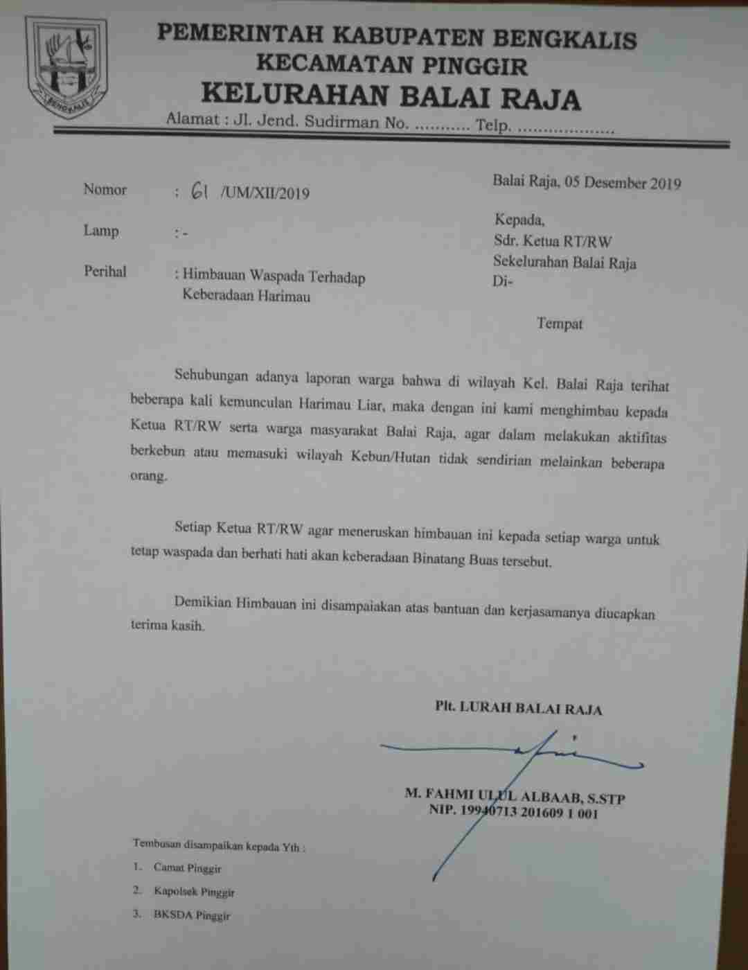 Harimau Terpantau di Wilayah Pinggir, Masyarakat Waspada