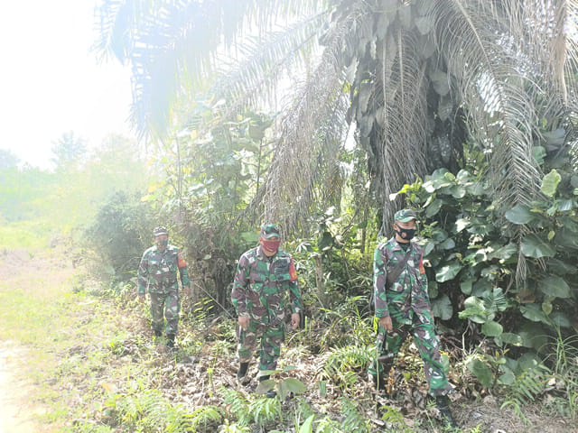 Serka TR. Lase dan Babinsa Lainnya Patroli Karhutla di Pematang Pudu dan Buluh Manis