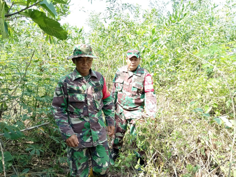 Cegah Karhutla, Babinsa Mandau Serda Fikri, Serda Z. Panjaitan, Kopda Yusuf Laksaksanakan Patroli di Bathin Solapan