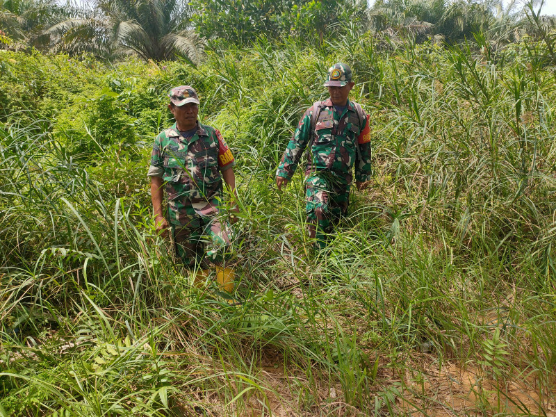 Babinsa Sertu Rosdianto, Sertu D. Simanjuntak dan Kopda Bambang Berpatroli Karhutla di Pematang Pudu