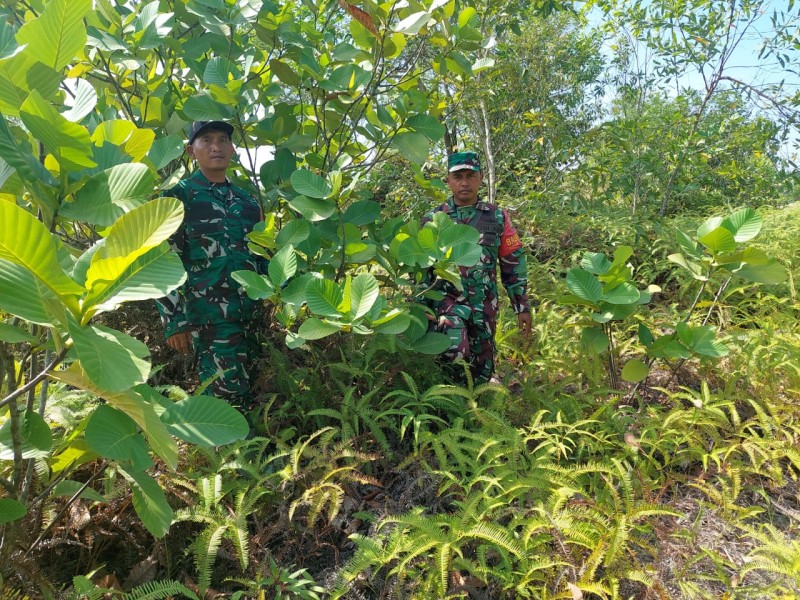 Babinsa Serka Ristiyo, Serda D. Simanjuntak, Praka Alif Alfindo Berpatroli Karhutla di Desa Petani, Kecamatan Batsol