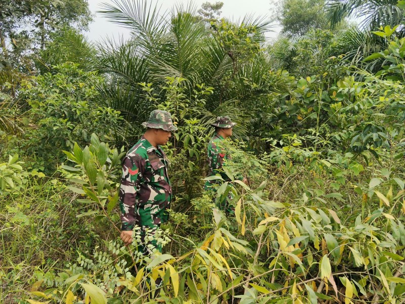 Patroli Karhutla Terus dilakukan, Babinsa Koptu Bambang dan Koptu P. Samosir cek Lahan Rawan di Kelurahan Duri Barat, Mandau, Bengkalis