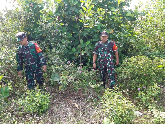 Patroli Karhutla Terus dilakukan Oleh Babinsa 03/Mandau Serka N. Saragih dan Sertu Junaidi di Gajah Sakti