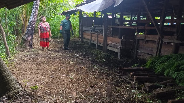 Cegah Penyebaran PMK, Babinsa Sertu Roy Pardomuan Laksanakan Cek Hewan Ternak di RT 2 RW Desa Pinggir