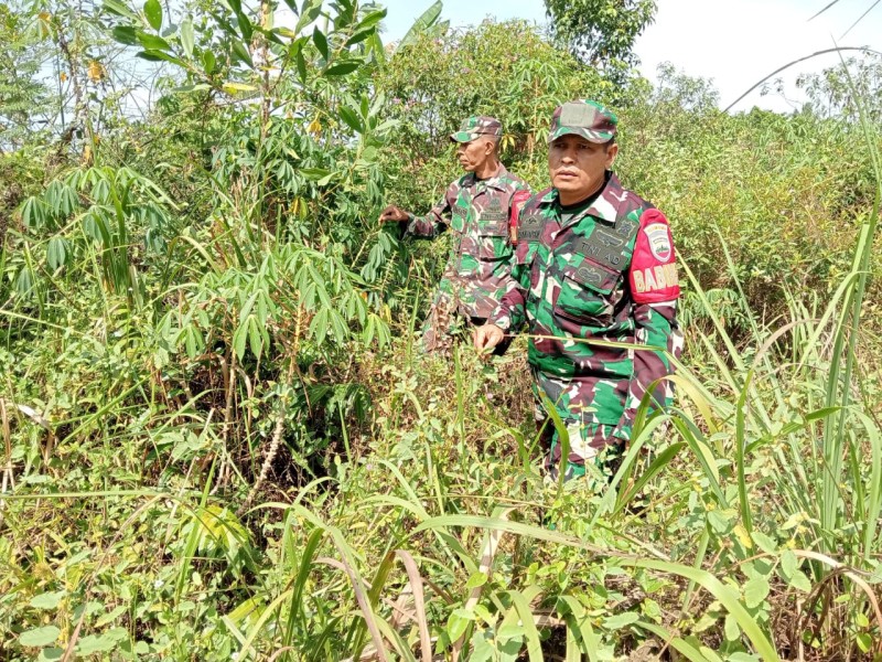 Babinsa Sertu Handoko, Sertu Robi, Serda Z Panjaitan Berpatroli Karhutla di Kelurahan Pematang Pudu, Kecamatan Mandau
