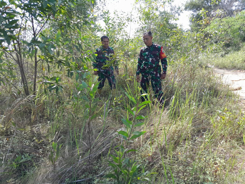 Babinsa Pelda Armen dan Serka Fauzi Berpatroli Karhutla di Desa Petani, Kecamatan Batsol