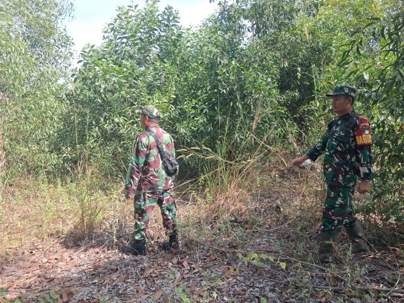 Babinsa Serka SDG Barus, Sertu A.T Silaban Patroli Karhutla di Jalan Rangau, Bathin Solapan
