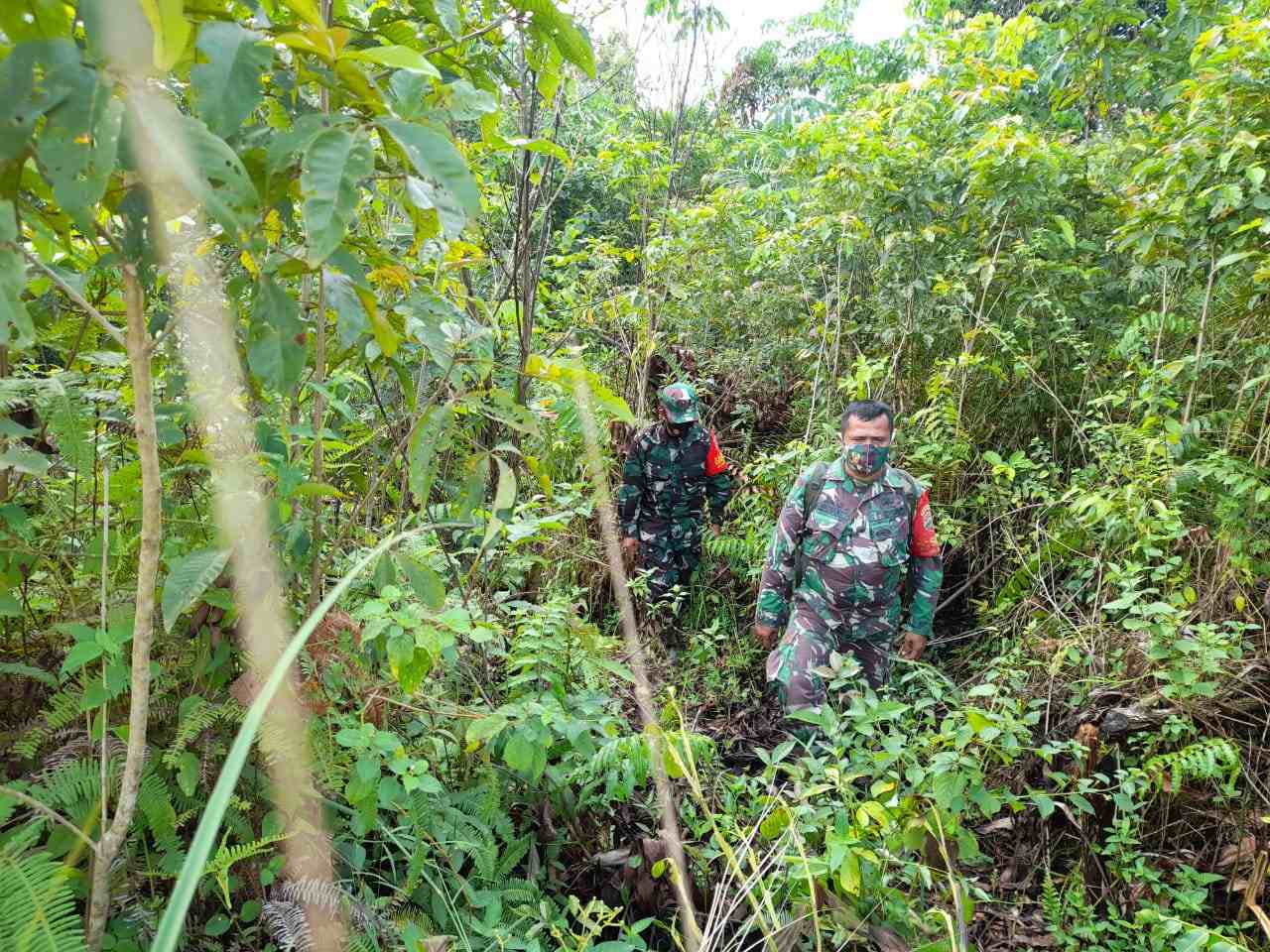 Sertu Alinaspi dan Serda Rosdianto Laksanakan Patroli Karhutla di Desa Air Kulim
