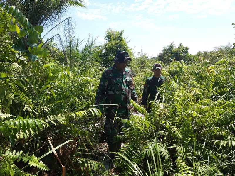 Babinsa Serka N. Saragih, Serda Paino, Pratu kitron Berpatroli Karhutla di Desa Petani, Kecamatan Batsol