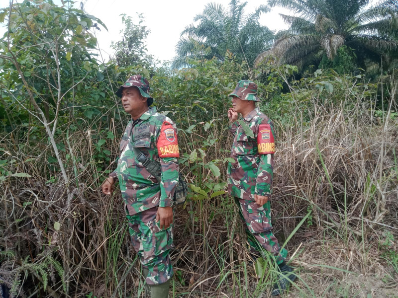 Upaya Cegah Karhutla, Babinsa Serda Paino dan Serda Ramadhani di Kelurahan Pematang Pudu