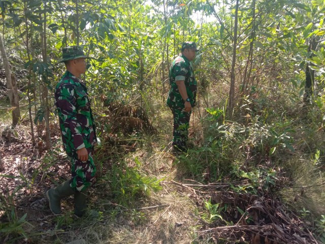 Babinsa Koramil 03/Mandau Sertu Handoko dan Sertu Chandra Terus Laksanakan Patroli Karhutla