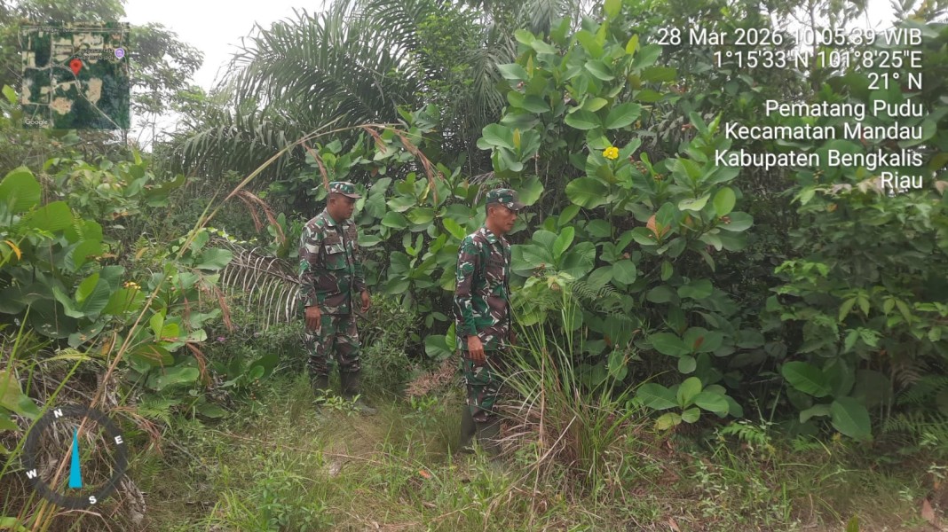 Babinsa Sertu Sutiman, Sertu Ahmad junaidi  Patroli Karhutla di Mandau, Bengkalis