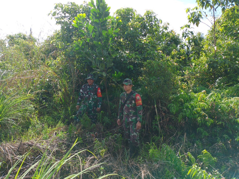 Babinsa Pelda Yulihar, Kopda Ade, Pratu Kifron Berpatroli Karhutla di Desa Petani