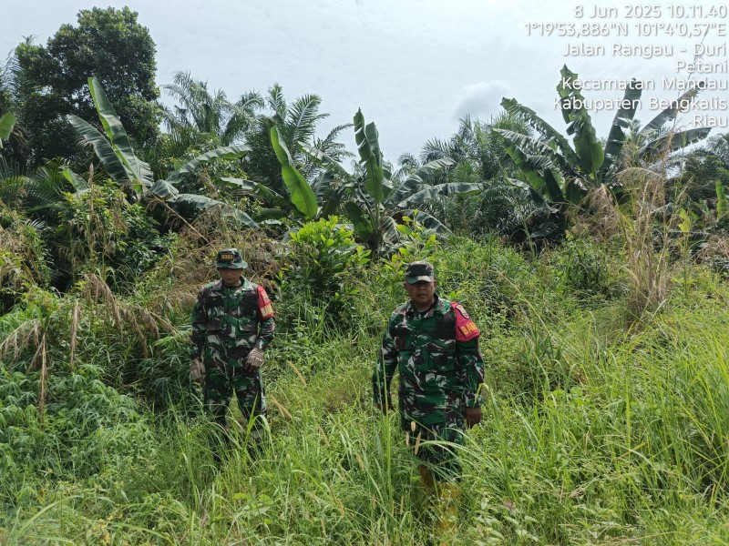 Babinsa Peltu Sigit N. W, Sertu Awaluddin Berpatroli Karhutla di kecamatan Batsol,  Bengkalis