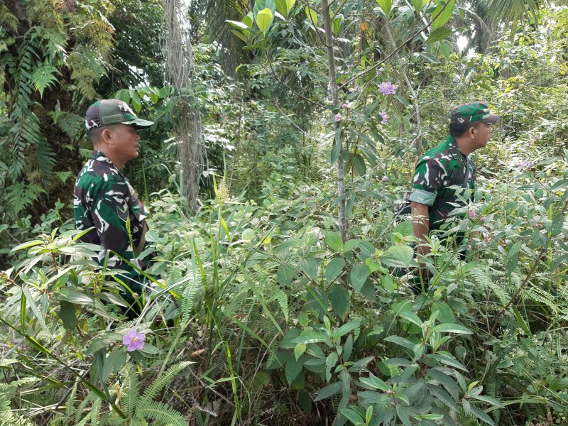 Babinsa Serma N.Saragih, Serka Alinaspi, Sertu At.Silaban Patroli Karhutla di Jalan Rangau, Desa Petani
