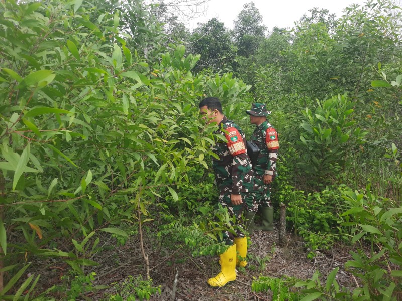 Babinsa Koptu Samosir, Kopda Alif Alfindi Patroli Karhutla di Desa Petani, Kecamatan Bathin Solapan