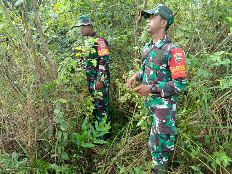 Babinsa Sertu Agung, Sertu Roy Pardomuan dan Pratu DN. Simanungkalit Berpatroli Karhutla di Kelurahan Pematang Pudu, Mandau