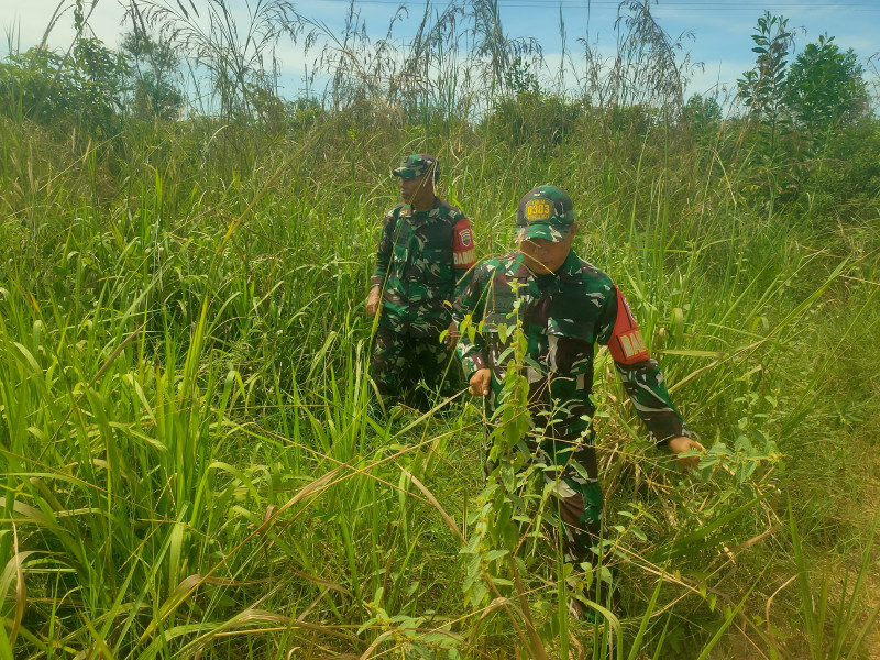 Babinsa Sertu Roby, Serda Ml. Silaban dan Kopda Bambang Berpatroli Karhutla di Bathin Solapan
