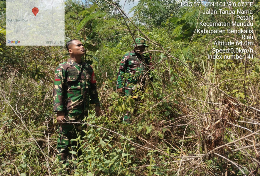 Untuk Mencegah Karhutla, Babinsa Mandau Serda Panjaitan, Kopda Nasution dan Pratu IK. Sinaga di Desa Petani