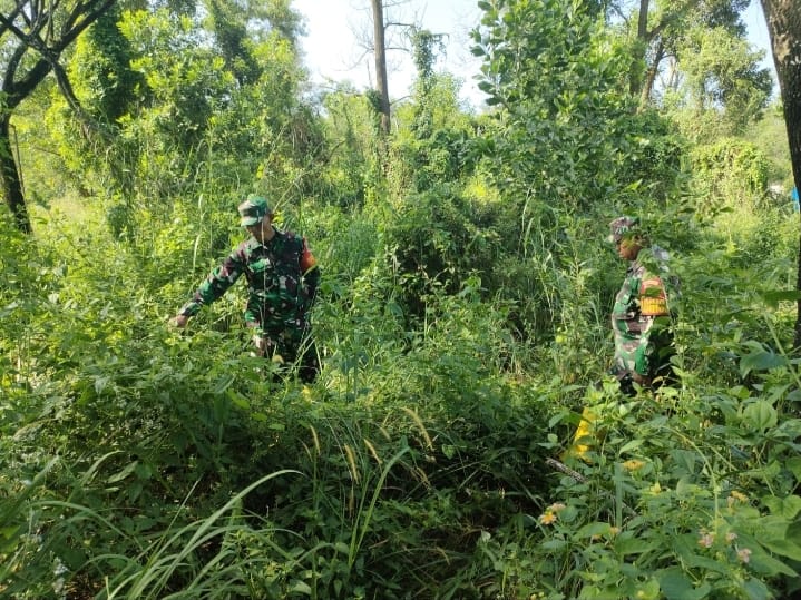 Cegah Karhutla, Babinsa Mandau Pelda Armen dan Serma Agusliadi di Pematang Pudu