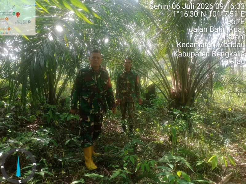 Babinsa Sertu Sutiman, Serda Z.panjaitan Patroli Karhutla di Jalan Siak, Desa Petani, Bathin Solapan, Bengkalis