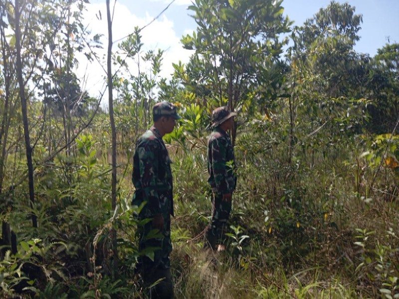 Babinsa Peltu Sigit, Pelda Suprapto dan Sertu Joni, Berpatroli Karhutla di Pematang Pudu