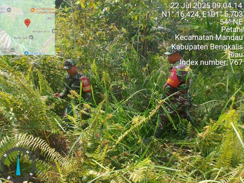 Babinsa Serka N.Saragih, Serda Paino, Pratu kifron Berpatroli Karhutla di Desa Petani, Mandau