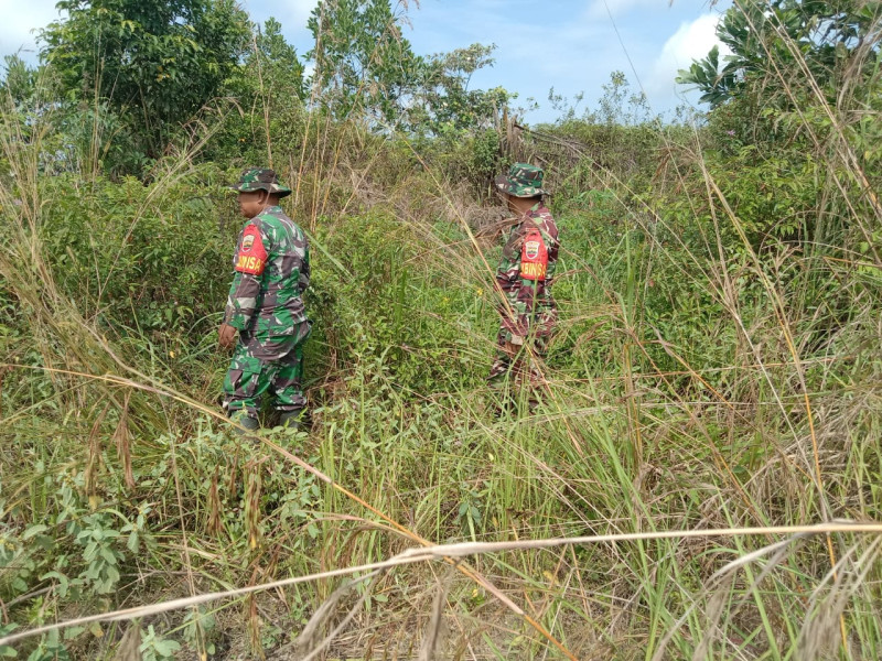Cegah Karhutla, Babinsa Mandau Sertu P. Sinaga, Koptu Ml Silaban, Kopda Yusuf di Desa Petani
