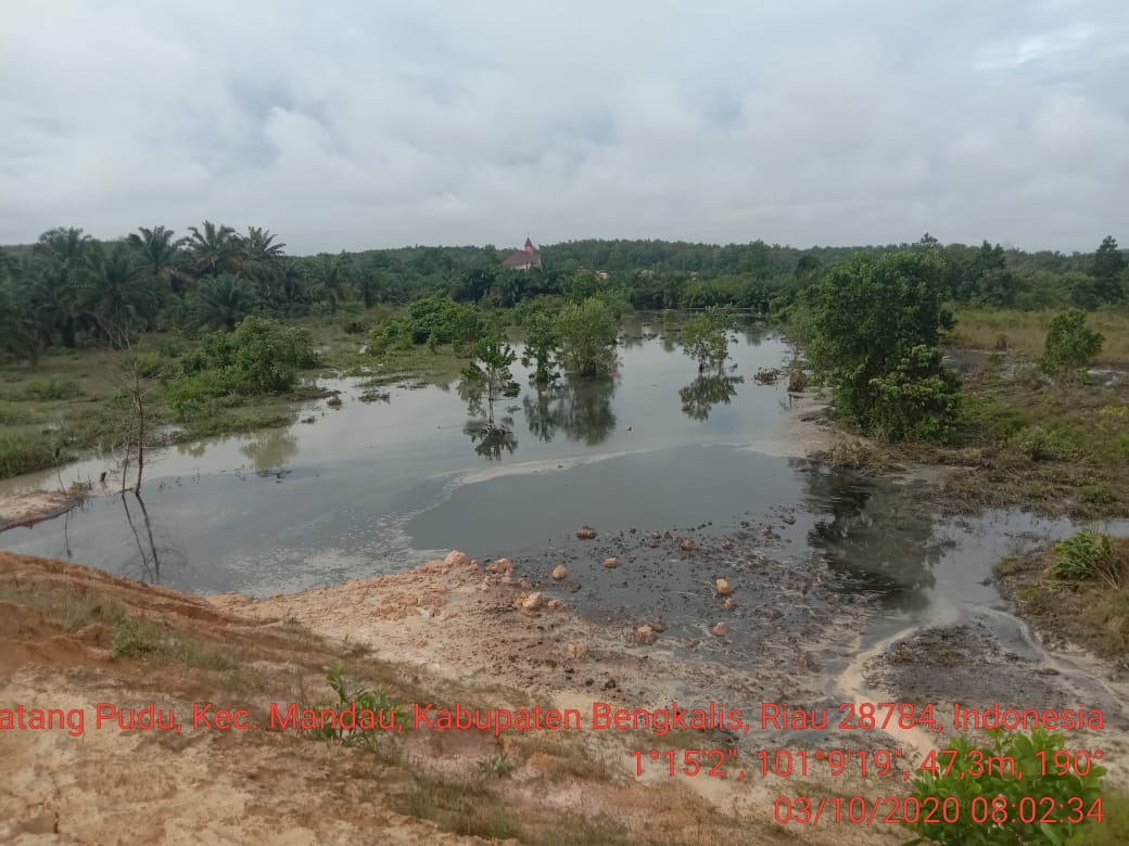 Diduga Bendungan Kolam Limbah PKS SIPP Rangau Jebol, Cemari Sungai Sekitar