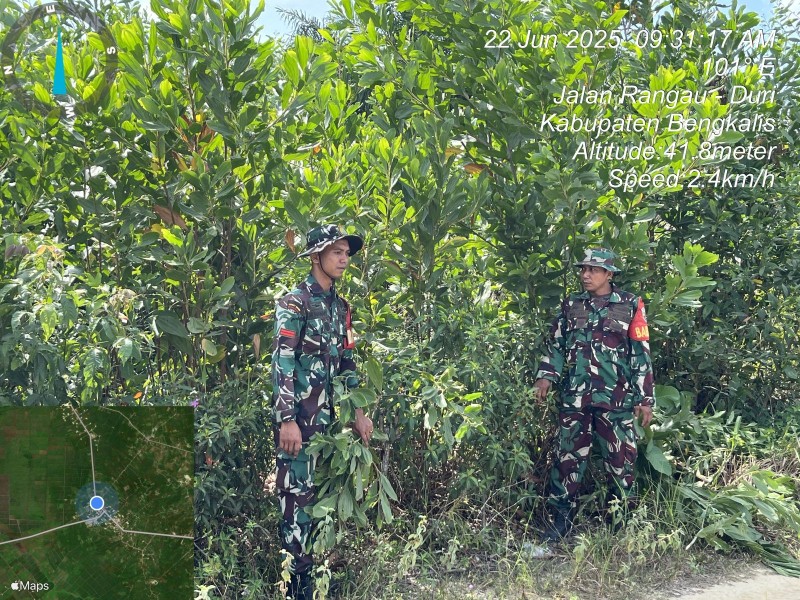 Babinsa Sertu A. T Silaban, Kopda Yusup Andri W., Pratu M. Hanafi Berpatroli Karhutla di Desa Petani, Bengkalis