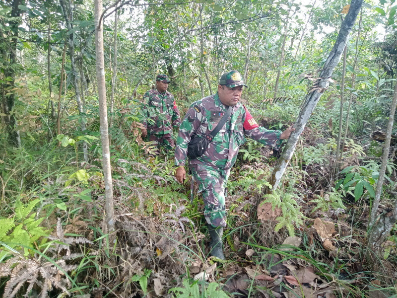 Babinsa Serma Agusliadi, Serda Chandrawan dan Sertu Zulkarnain, Berpatroli Karhutla di Balai Makam