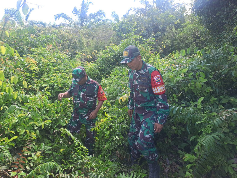 Babinsa Sertu Rosdianto, Sertu Jhoni dan Kopda Yusup Berpatroli Karhutla di Desa Petani KM 21