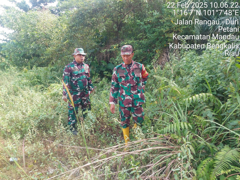 Babinsa Sertu Roy Pardomuan, Sertu Handoko dan Serda D. Simanjuntak, Berpatroli Karhutla di Desa Petani