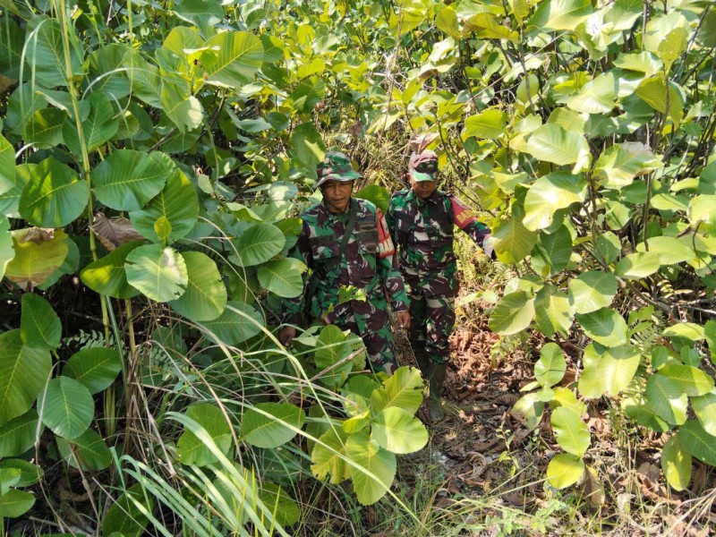Babinsa Serda Zulkarnain, Kopda P. Samosir Berpatroli Karhutla di jalan Tanpa Nama, Desa Petani