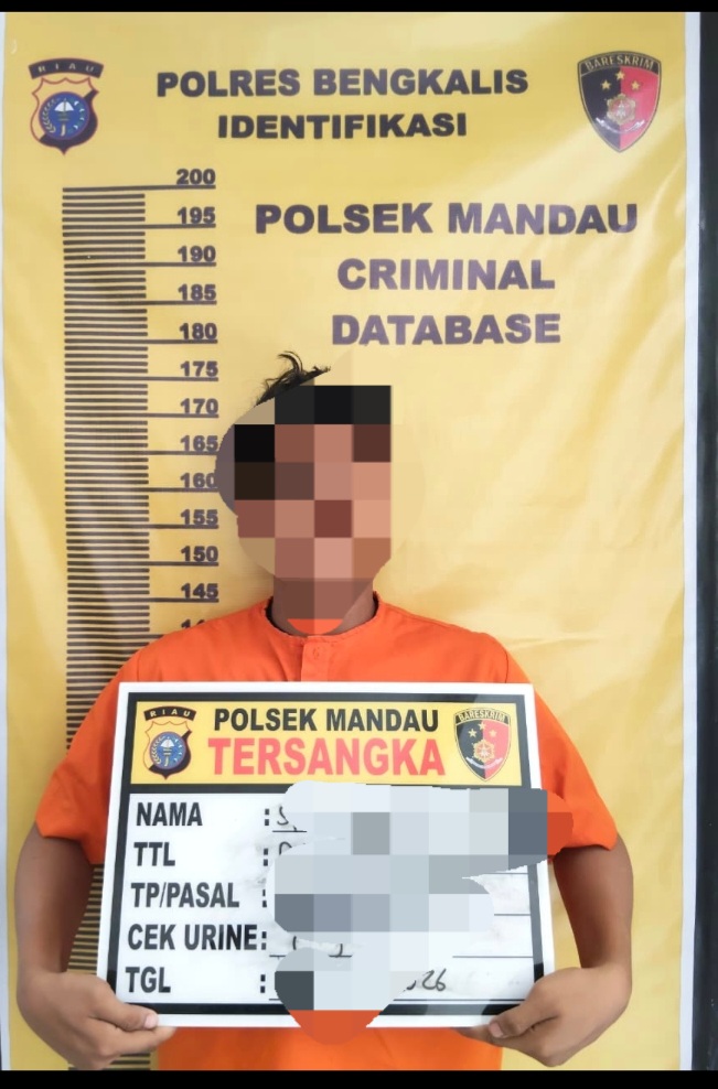Diduga Lakukan Pencabulan, Karyawan Swasta Dibekuk Opsnal Mandau
