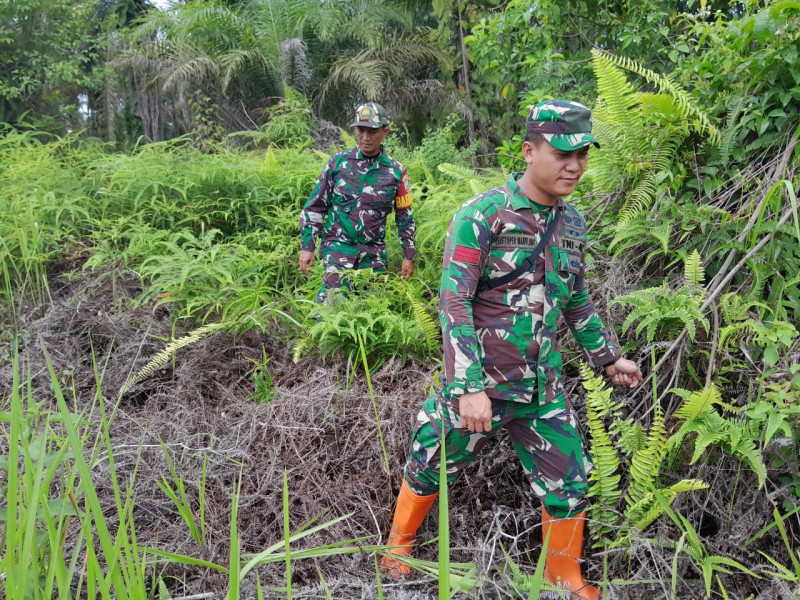 Babinsa Serka N. Saragih, Serda D. Simanjuntak, Praka A. Manulang Berpatroli Karhutla di Wilayah Perbatasan