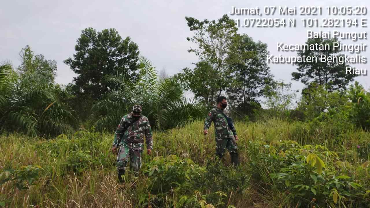 Serka N. Saragih dan Kopda Muchsin Pimpin Patroli Karhutla di Desa Balai Pungut
