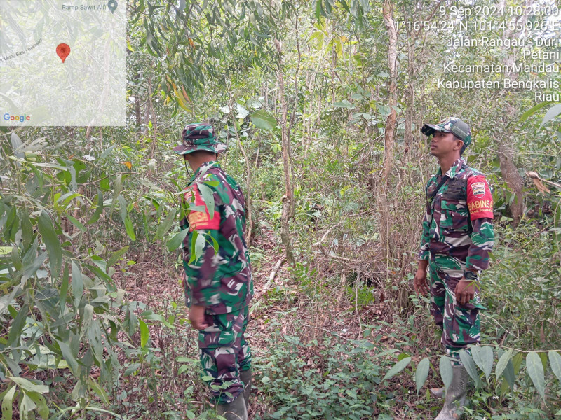 Babinsa Sertu Agung, Serda Rizal dan Pratu DN. Simanungkalit Berpatroli Karhutla di Desa Petani, Batsol