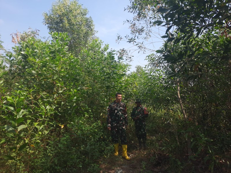 Babinsa Serka Ristyo, Kopda Alif Alfindo Patroli Karhutla di Desa Petani, Batsol