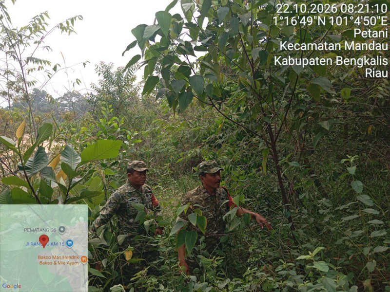 Patroli Karhutla Terus dilakukan, Babinsa Pelda Suprapto, Serma N. Saragih cek Lahan Rawan di Desa Petani