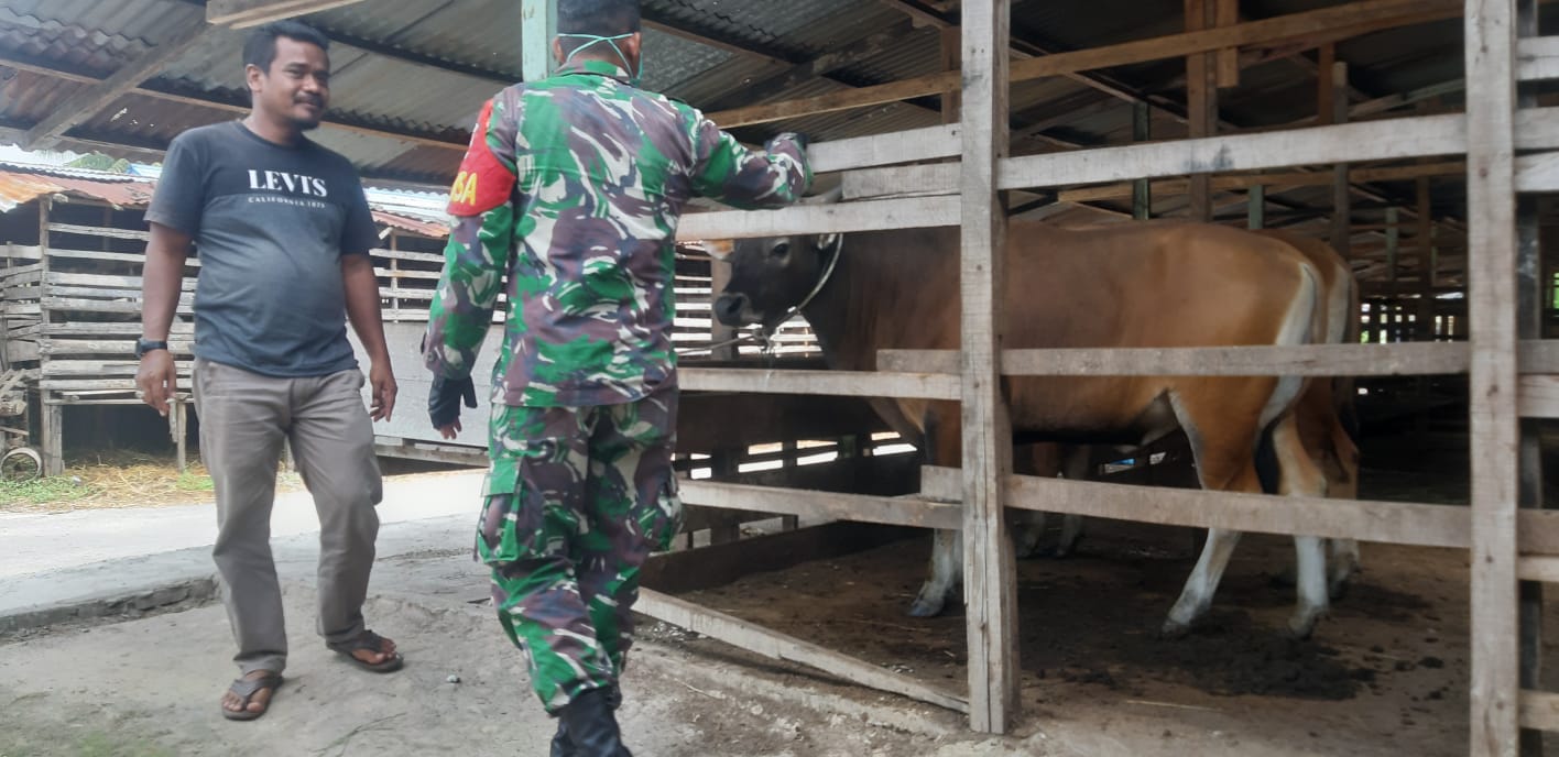 Pantau Hewan Ternak di Desa Tasik Serai, Babinsa Serda Bambang Upayakan Pencegahan PMK