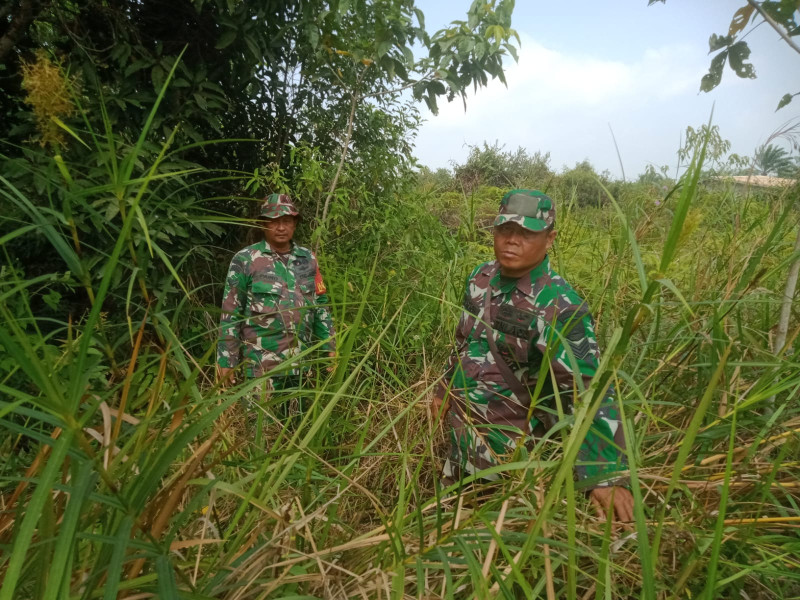 Cegah Karhutla, Babinsa Mandau Serka Saragih, Sertu Rosdianto dan Serda Paino Laksaksanakan Patroli di Jalan Rangau Ujung