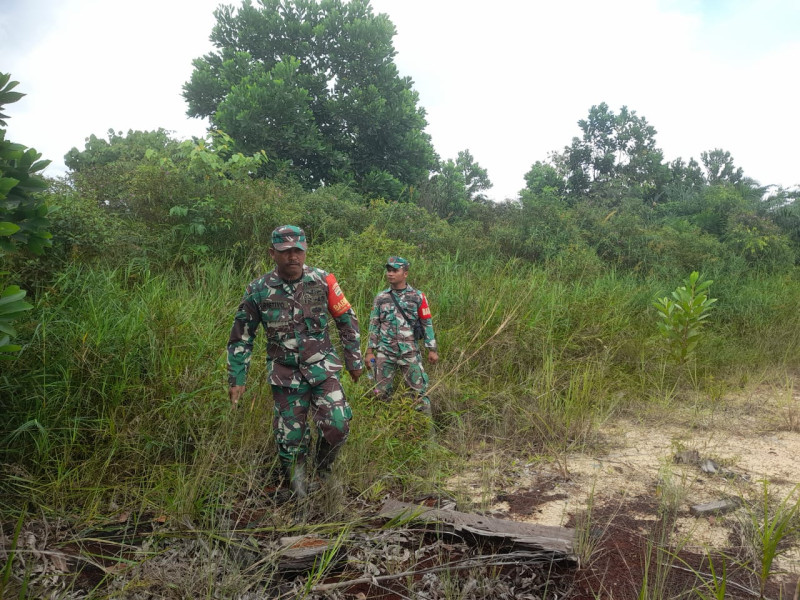 Babinsa Serka Riatiyo, Serka SDG Barus, Pratu Sinaga Berpatroli Karhutla di Desa Petani, Batsol