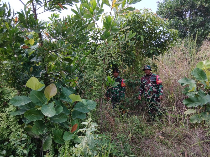 Patroli Karhutla Terus dilakukan, Babinsa Serka Ristyo, Serda Zulkarnain cek Lahan Rawan di Desa Petani, Batsol, Bengkalis