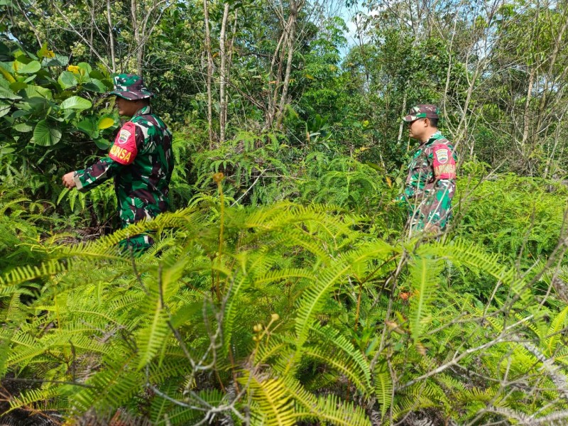 Babinsa Sertu Awaluddin, Kopda P. Samosir dan Kopda Ade, Berpatroli Karhutla di Petani