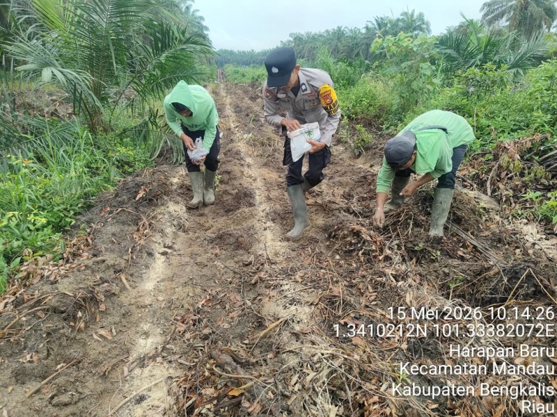 Gencarkan Penanaman Jagung 1 juta hektar, Polsek Mandau Lanjutkan 100 Hari Asta Cita Presiden RI